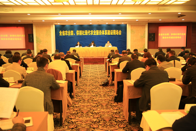 1491351407786836.jpg 201741145431866.jpg