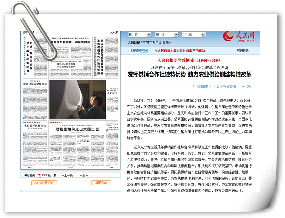 1489019380617506.jpg 1.jpg